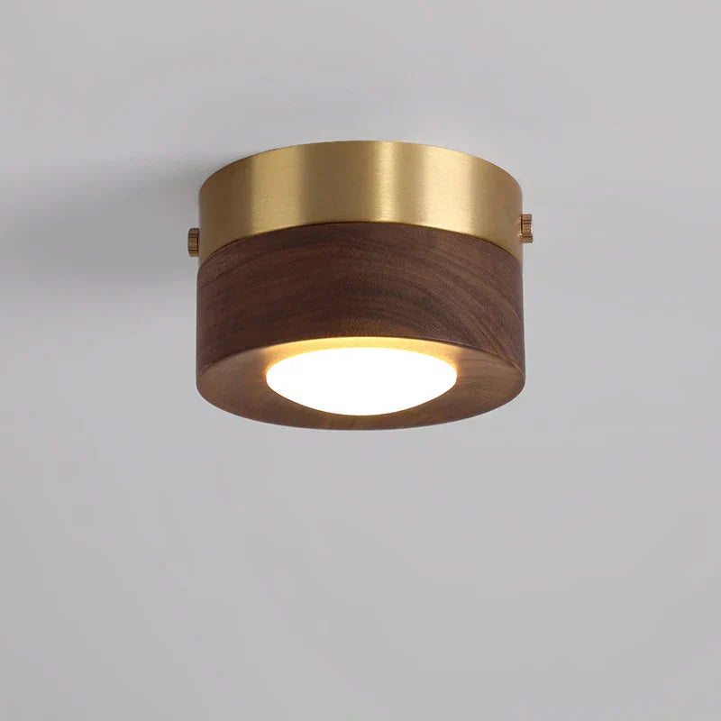 GlowAshen | Lampa sufitowa – Nowoczesne LED światło z naturą Lumiera