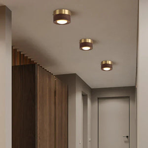 GlowAshen | Lampa sufitowa – Nowoczesne LED światło z naturą Lumiera