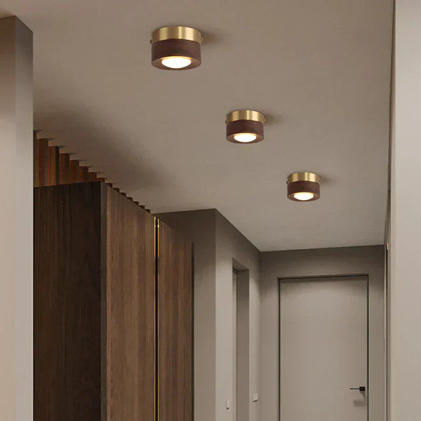 GlowAshen | Lampa sufitowa – Nowoczesne LED światło z naturą Lumiera
