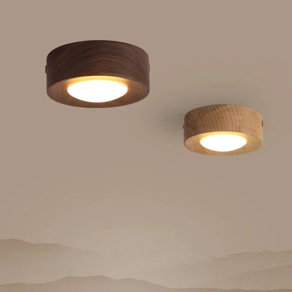 GlowAshen | Lampa sufitowa – Nowoczesne LED światło z naturą Lumiera