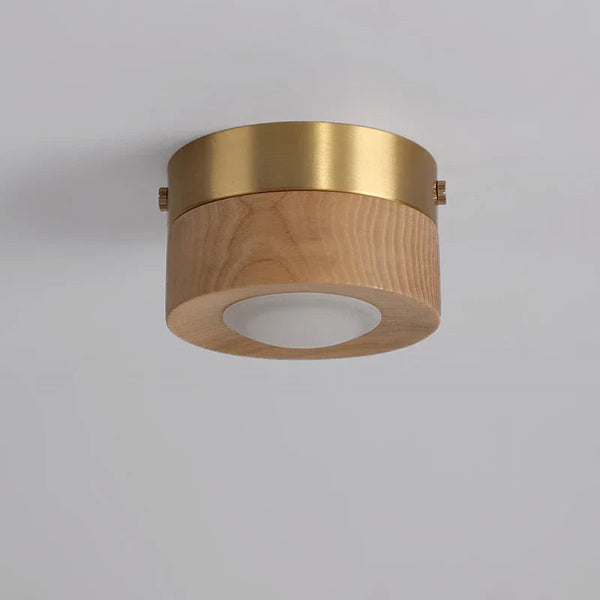 GlowAshen | Lampa sufitowa – Nowoczesne LED światło z naturą Lumiera